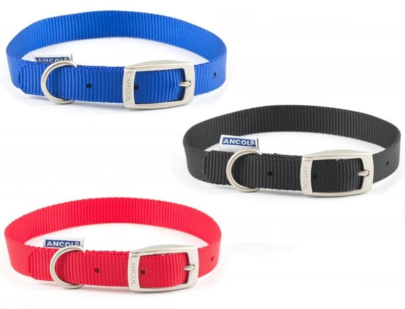 nylon collar with metal buckle
