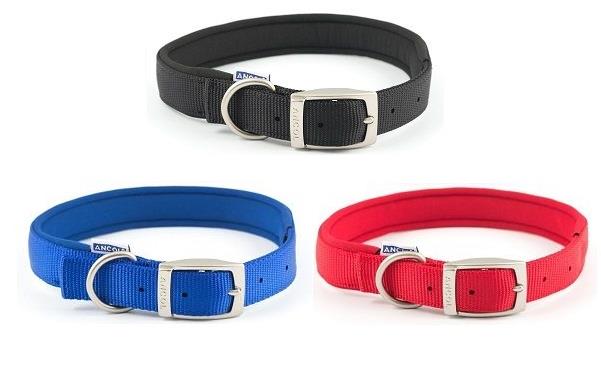 nylon padded collar with metal buckle