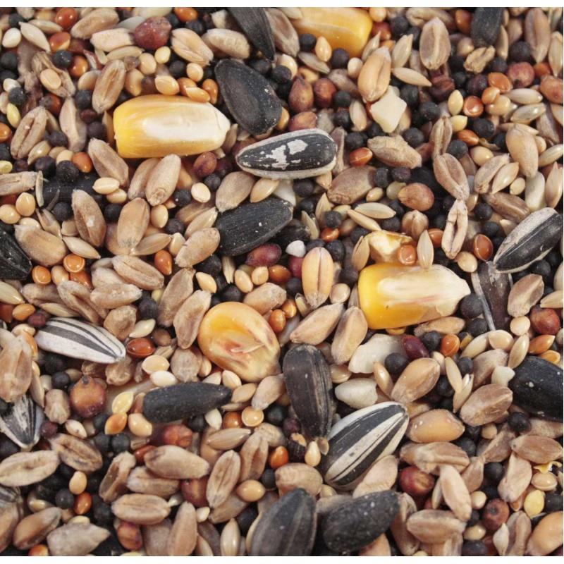 mixed seeds