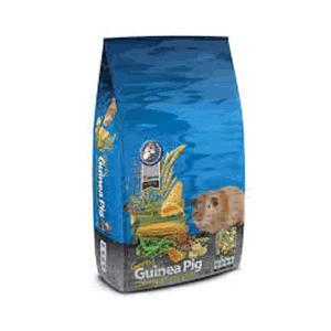 gerty guinea pig