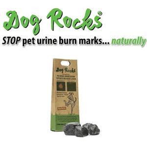 dog rocks lawn burn prevention