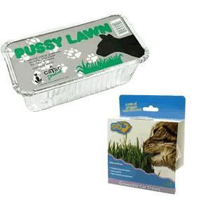 cat grass