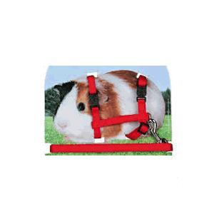 guinea pig harness with lead, nylon, 21-35cm/10mm, 1.25m