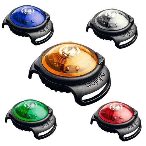 orbiloc dog safety light