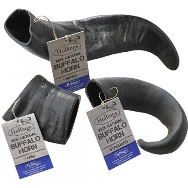 buffalo horn