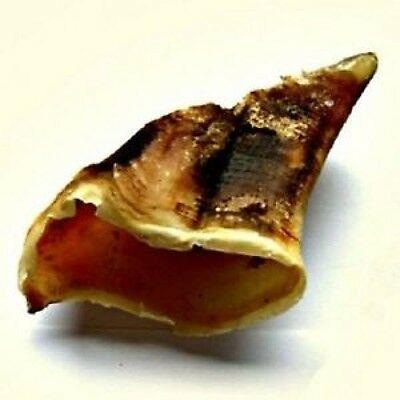 anco naturals empty hooves