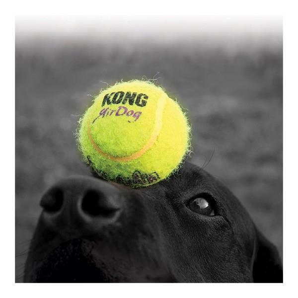 kong air squeaker tennis balls