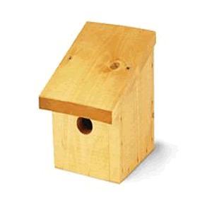 slope bird nest box