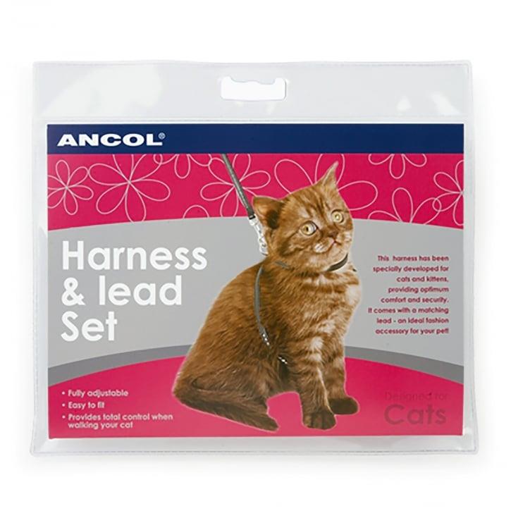 ancol cat harnesses