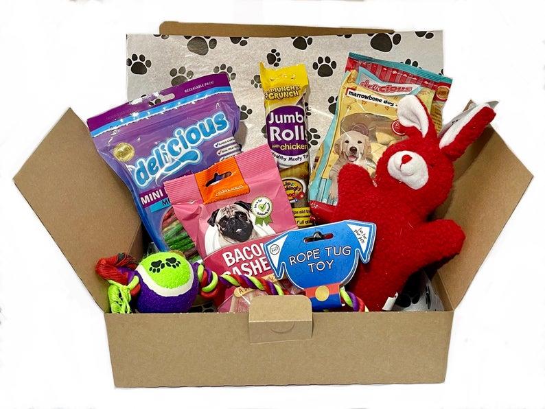 Treats & Toy Box