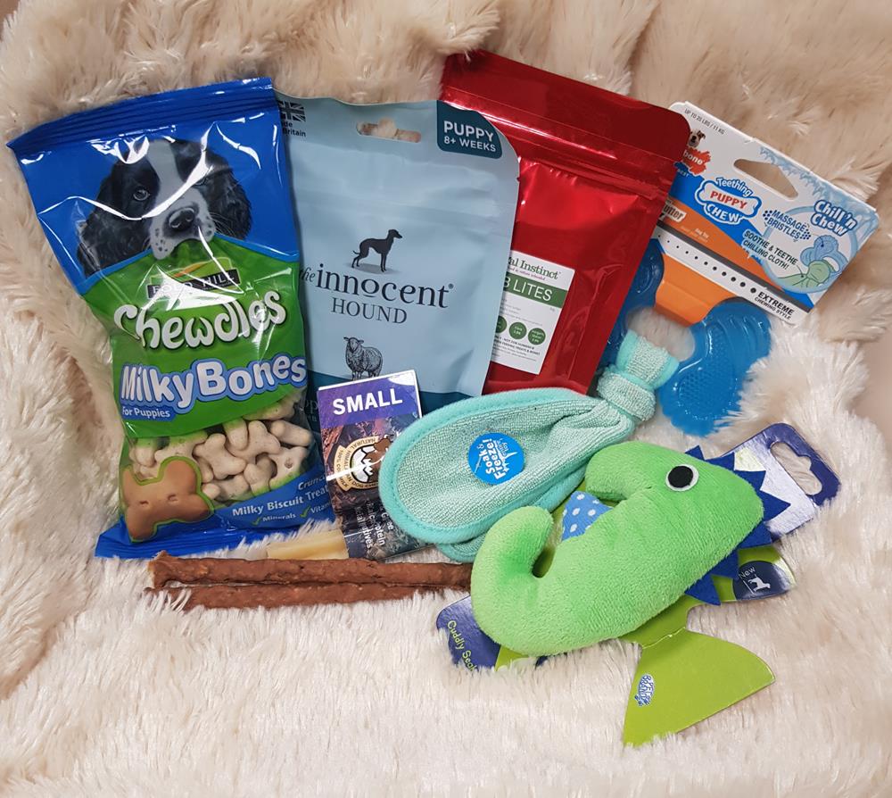 Puppy Gift Box