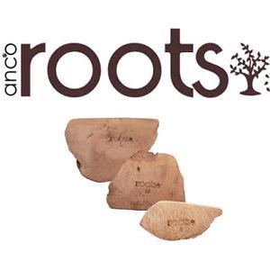 Anco Roots
