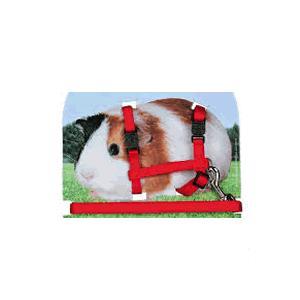 Guinea Pig Harness with Lead, Nylon, 21-35cm/10mm, 1.25m