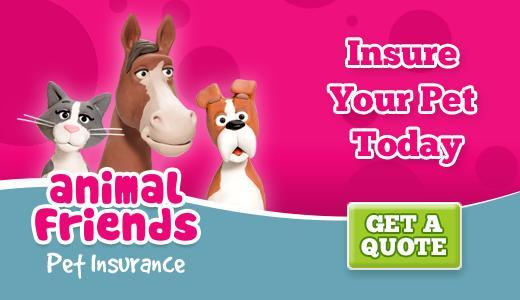 ANIMAL FRIENDS PET INSURANCE