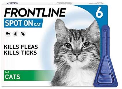 Frontline Cat Flea Treatment