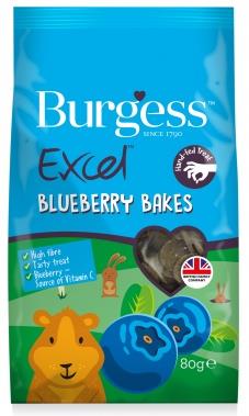 Burgess Excel Blueberry Treats 80g