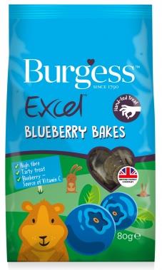 Burgess Excel Blueberry Treats 80g