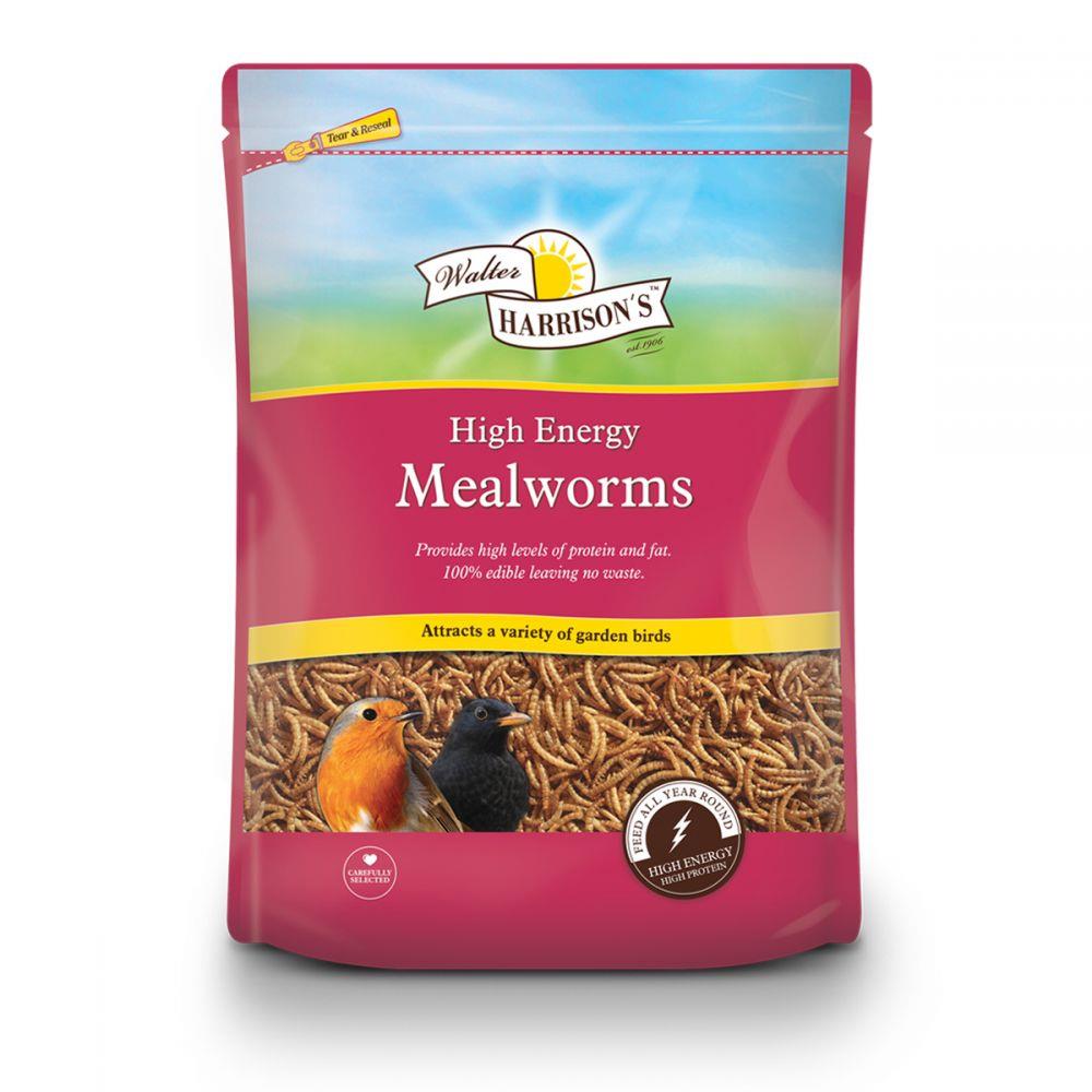 Dried Mealworms