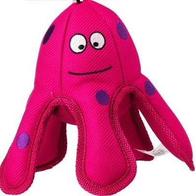 Belly Flops Octopus