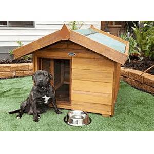 Kennels and Outdoors